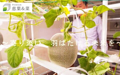 メロン 植物工場 〈 兵庫県市川町立瀬加中学校跡 (廃校) 〉